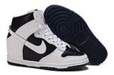 Nike Dunk-210